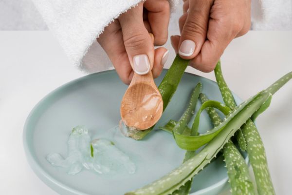 aloe vera sur les cicatrices